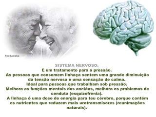 SISTEMA NERVOSO:  É um tratamento para a pressão.  As pessoas que consomem linhaça sentem uma grande diminuição da tensão nervosa e uma sensação de calma.  Ideal para pessoas que trabalham sob pressão.  Melhora as funções mentais dos anciãos, melhora os problemas de conduta (esquizofrenia).  A linhaça é uma dose de energia para teu cérebro, porque contém os nutrientes que reduzem mais urotransmisores (reanimações naturais).  Foto ilustrativa 