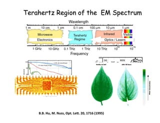 Terahertz Region of the EM Spectrum
B.B.	
  Hu,	
  M.	
  Nuss,	
  Opt.	
  LeQ.	
  20,	
  1716	
  (1995)	
  
 