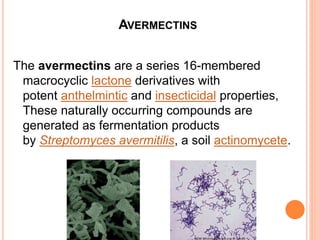 AVERMECTINS
The avermectins are a series 16-membered
macrocyclic lactone derivatives with
potent anthelmintic and insecticidal properties,
These naturally occurring compounds are
generated as fermentation products
by Streptomyces avermitilis, a soil actinomycete.
 