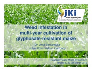 Weed infestation in
  multi-
  multi-year cultivation of
glyphosate-
glyphosate-resistant maize
          Dr Arnd Verschwele
     Julius Kühn-Institut, Germany
            Kühn-



                     Roundup Ready Maize Symposium
                          Brussels, 22 -24 March 2010
 