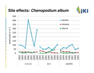 Site effects: Chenopodium album
 