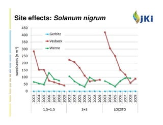 Site effects: Solanum nigrum
 