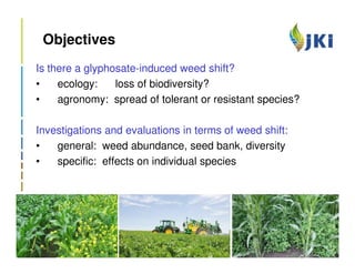 Objectives
Is there a glyphosate-induced weed shift?
•    ecology:    loss of biodiversity?
•    agronomy: spread of tolerant or resistant species?

Investigations and evaluations in terms of weed shift:
•   general: weed abundance, seed bank, diversity
•   specific: effects on individual species
 