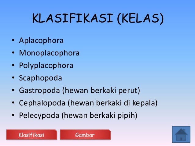 Avertebrata Ppt