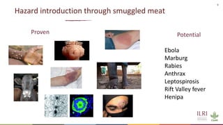 9
Hazard introduction through smuggled meat
Proven Potential
Ebola
Marburg
Rabies
Anthrax
Leptospirosis
Rift Valley fever
Henipa
 