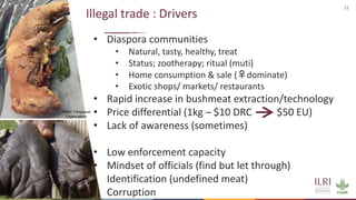 Averting future pandemics: Legal and illegal trade in animals, meat and wildmeat