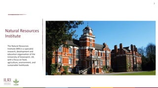 Averting future pandemics: Legal and illegal trade in animals, meat and wildmeat