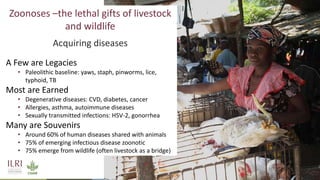 Averting future pandemics: Legal and illegal trade in animals, meat and wildmeat