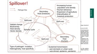 Averting future pandemics: Legal and illegal trade in animals, meat and wildmeat