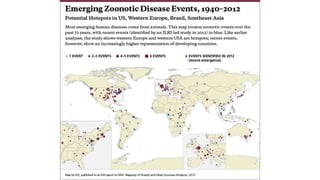 Averting future pandemics: Legal and illegal trade in animals, meat and wildmeat