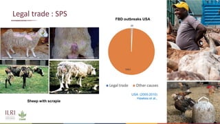 Averting future pandemics: Legal and illegal trade in animals, meat and wildmeat