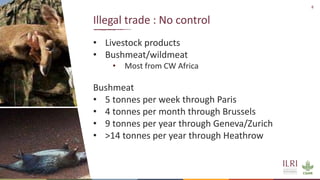 Averting future pandemics: Legal and illegal trade in animals, meat and wildmeat