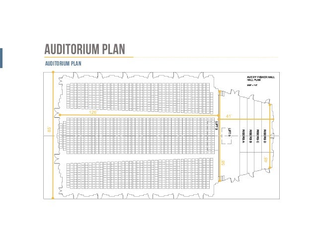 Avery Fisher Hall Seating Chart View