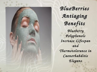 Blueberry 
Polyphenols 
Increase Lifespan 
and 
Thermotolerance in 
Caenorhabditis 
Elegans
BlueBerries BlueBerries 
Antiaging Antiaging 
BenefitsBenefits
 