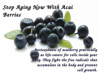 Antioxidants of acaiberry practically Antioxidants of acaiberry practically 
serve as life­savers for cells inside your serve as life­savers for cells inside your 
body. They fight the free radicals that body. They fight the free radicals that 
accumulate in the body and prevent accumulate in the body and prevent 
cell growth.cell growth.
Stop Aging Now With Acai Stop Aging Now With Acai 
Berries Berries 
 