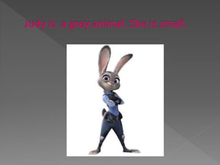 A very special rabbit