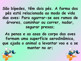 São bípedes, têm dois pés. A forma dos pés está relacionada ao modo de vida das aves: Para agarrar-se aos ramos de árvores, caminhar ou correr, nadar, segurar presas; As penas e as asas do corpo das aves formam uma superfície aerodinâmica, que ajuda o animal a levantar voo e a se manter no ar; 