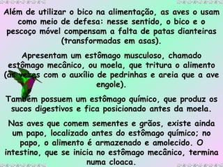 Além de utilizar o bico na alimentação, as aves o usam como meio de defesa: nesse sentido, o bico e o pescoço móvel compensam a falta de patas dianteiras (transformadas em asas). Apresentam um estômago musculoso, chamado estômago mecânico, ou moela, que tritura o alimento (às vezes com o auxílio de pedrinhas e areia que a ave engole). Também possuem um estômago químico, que produz os sucos digestivos e fica posicionado antes da moela. Nas aves que comem sementes e grãos, existe ainda um papo, localizado antes do estômago químico; no papo, o alimento é armazenado e amolecido. O intestino, que se inicia no estômago mecânico, termina numa cloaca. 
