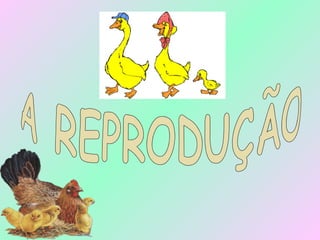 A REPRODUÇÃO 