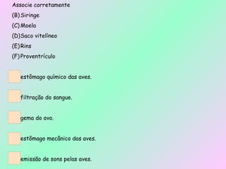 Associe corretamente Siringe Moela  Saco vitelíneo Rins  Proventrículo  estômago químico das aves. filtração do sangue. gema do ovo. estômago mecânico das aves. emissão de sons pelas aves. 