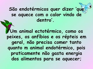 São endotérmicos quer dizer ‘que se aquece com o calor vindo de dentro’.  Um animal ectotérmico, como os peixes, os anfíbios e os répteis em geral, não precisa comer tanto quanto m animal endotérmico, pois praticamente não gasta energia dos alimentos para se aquecer; 
