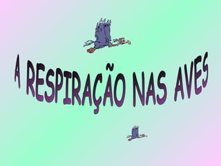 A RESPIRAÇÃO NAS AVES 