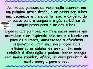As trocas gasosas da respiração ocorrem em um pulmão: nesse órgão, o ar passa por tubos microscópicos e , enquanto isso, o oxigênio do ar passa para o sangue e o gás carbônico do sangue passa para o ar dos tubos. Ligados aos pulmões, existem sacos aéreos que acumulam o ar inspirado pela ave e o bombeiam para os pulmões, aumentando a eficiência respiratória. Com uma respiração mais eficiente, as células do animal têm mais oxigênio à disposição e podem liberar energia com maior rapidez, afinal, as aves precisam de muita energia para o voo. 