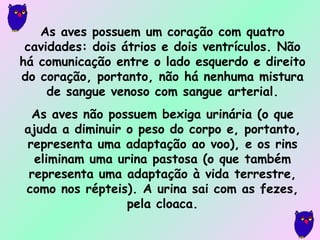 As aves possuem um coração com quatro cavidades: dois átrios e dois ventrículos. Não há comunicação entre o lado esquerdo e direito do coração, portanto, não há nenhuma mistura de sangue venoso com sangue arterial. As aves não possuem bexiga urinária (o que ajuda a diminuir o peso do corpo e, portanto, representa uma adaptação ao voo), e os rins eliminam uma urina pastosa (o que também representa uma adaptação à vida terrestre, como nos répteis). A urina sai com as fezes, pela cloaca. 