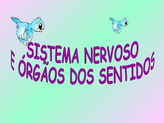 SISTEMA NERVOSO E ÓRGÃOS DOS SENTIDOS 