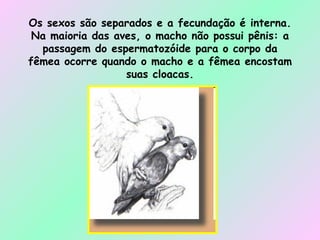 Os sexos são separados e a fecundação é interna. Na maioria das aves, o macho não possui pênis: a passagem do espermatozóide para o corpo da fêmea ocorre quando o macho e a fêmea encostam suas cloacas. 