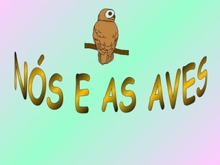 NÓS E AS AVES 