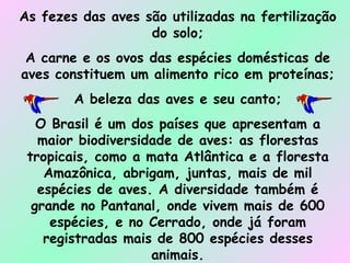 As fezes das aves são utilizadas na fertilização do solo; A carne e os ovos das espécies domésticas de aves constituem um alimento rico em proteínas; A beleza das aves e seu canto; O Brasil é um dos países que apresentam a maior biodiversidade de aves: as florestas tropicais, como a mata Atlântica e a floresta Amazônica, abrigam, juntas, mais de mil espécies de aves. A diversidade também é grande no Pantanal, onde vivem mais de 600 espécies, e no Cerrado, onde já foram registradas mais de 800 espécies desses animais. 