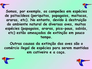 Somos, por exemplo, os campeões em espécies de psitacídeos (periquitos, papagaios, maitacas, araras, etc). No entanto, devido à destruição do ambiente natural de diversas aves, muitas espécies (papagaios, araras, pica-paus, sabiás, etc) estão ameaçados de extinção em pouco tempo. Outras causas da extinção das aves são o comércio ilegal de espécies para serem mantidas em cativeiro e a caça. 