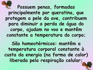 Possuem penas, formadas principalmente por queratina, que protegem a pele da ave, contribuem para diminuir a perda de água do corpo, ajudam no voo e mantêm constante a temperatura do corpo; São homeotérmicos: mantêm a temperatura corporal constante à custa da energia (na forma de calor) liberada pela respiração celular; 