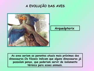A EVOLUÇÃO DAS AVES As aves seriam os parentes atuais mais próximos dos dinossauros.Os fósseis indicam que alguns dinossauros já possuíam penas, que poderiam servir de isolamento térmico para esses animais. Arqueópterix  