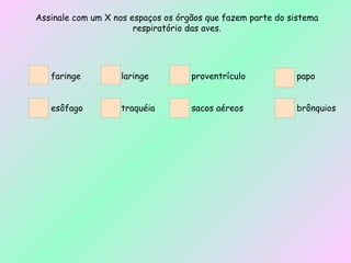 Assinale com um X nos espaços os órgãos que fazem parte do sistema respiratório das aves. faringe laringe proventrículo papo esôfago traquéia sacos aéreos brônquios 