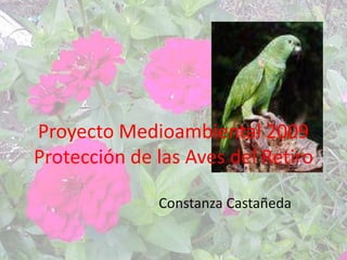 Proyecto Medioambiental 2009Protección de las Aves del Retiro Constanza Castañeda 