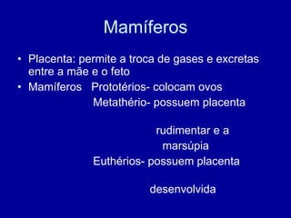 Mamíferos Placenta: permite a troca de gases e excretas entre a mãe e o feto Mamíferos  Prototérios- colocam ovos Metathério- possuem placenta  rudimentar e a  marsúpia Euthérios- possuem placenta  desenvolvida 