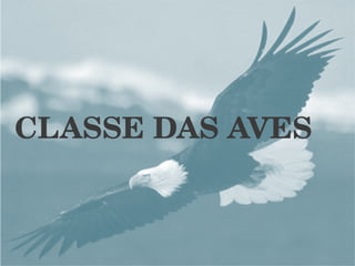 CLASSE DAS AVES 