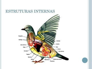 ESTRUTURAS INTERNAS 