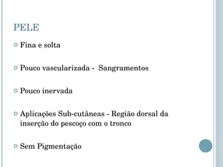 PELE Fina e solta Pouco vascularizada -  Sangramentos Pouco inervada Aplicações Sub-cutâneas - Região dorsal da inserção do pescoço com o tronco Sem Pigmentação 
