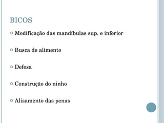 BICOS Modificação das mandíbulas sup. e inferior Busca de alimento Defesa Construção do ninho Alisamento das penas 