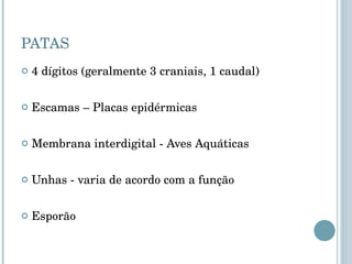PATAS 4 dígitos (geralmente 3 craniais, 1 caudal) Escamas – Placas epidérmicas Membrana interdigital - Aves Aquáticas Unhas - varia de acordo com a função Esporão 