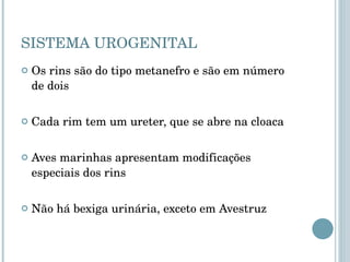SISTEMA UROGENITAL Os rins são do tipo metanefro e são em número de dois Cada rim tem um ureter, que se abre na cloaca Aves marinhas apresentam modificações especiais dos rins Não há bexiga urinária, exceto em Avestruz 