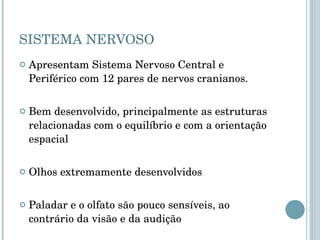 SISTEMA NERVOSO Apresentam Sistema Nervoso Central e Periférico com 12 pares de nervos cranianos. Bem desenvolvido, principalmente as estruturas relacionadas com o equilíbrio e com a orientação espacial Olhos extremamente desenvolvidos  Paladar e o olfato são pouco sensíveis, ao contrário da visão e da audição 