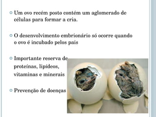 Um ovo recém posto contém um aglomerado de células para formar a cria.  O desenvolvimento embrionário só ocorre quando o ovo é incubado pelos pais Importante reserva de proteínas, lipídeos,  vitaminas e minerais Prevenção de doenças 