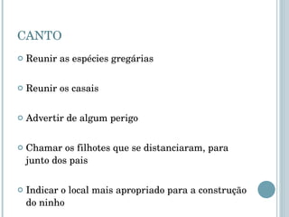 CANTO Reunir as espécies gregárias Reunir os casais Advertir de algum perigo Chamar os filhotes que se distanciaram, para junto dos pais Indicar o local mais apropriado para a construção do ninho 