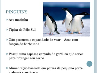 PINGUINS Ave marinha Típica do Pólo Sul Não possuem a capacidade de voar – Asas com função de barbatana Possui uma espessa camada de gordura que serve para proteger seu corpo Alimentação baseada em peixes de pequeno porte e alguns crustáceos 
