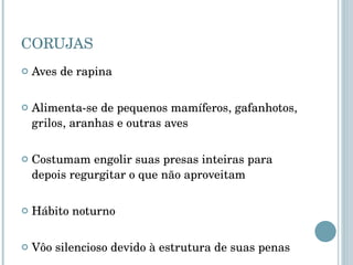 CORUJAS Aves de rapina Alimenta-se de pequenos mamíferos, gafanhotos, grilos, aranhas e outras aves Costumam engolir suas presas inteiras para depois regurgitar o que não aproveitam Hábito noturno Vôo silencioso devido à estrutura de suas penas 