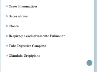 Ossos Pneumaticos Sacos aéreos Cloaca Respiração exclusivamente Pulmonar Tubo Digestivo Completo Glândula Uropigiana 